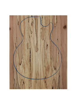 Spalted Beech Bass / Electric Guitar  Carved Top