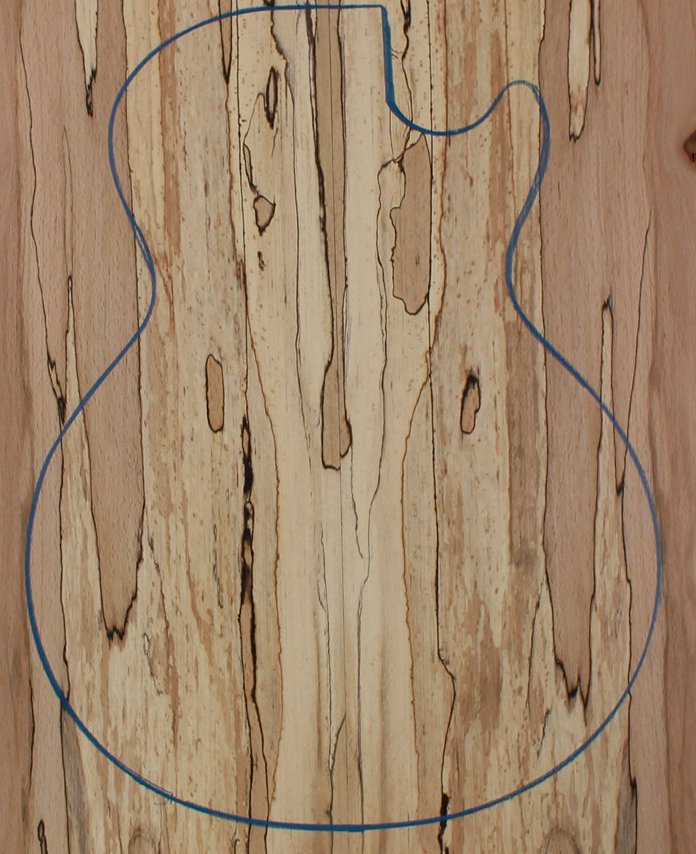 Spalted Beech Bass / Electric Guitar  Carved Top