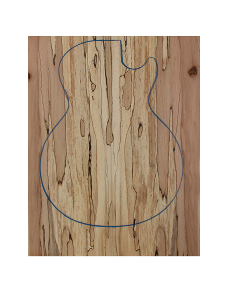 Spalted Beech Bass / Electric Guitar  Carved Top