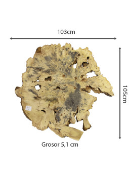 Slab Table Buckeye Burl Nº9