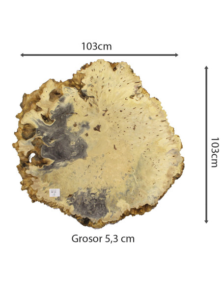 Slab Table Buckeye Burl Nº11