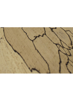 Spalted Beech Leftovers