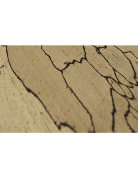 Restos Haya Spalted