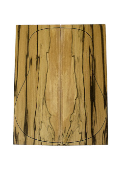 fonds brown ebony Guitare Acoustique