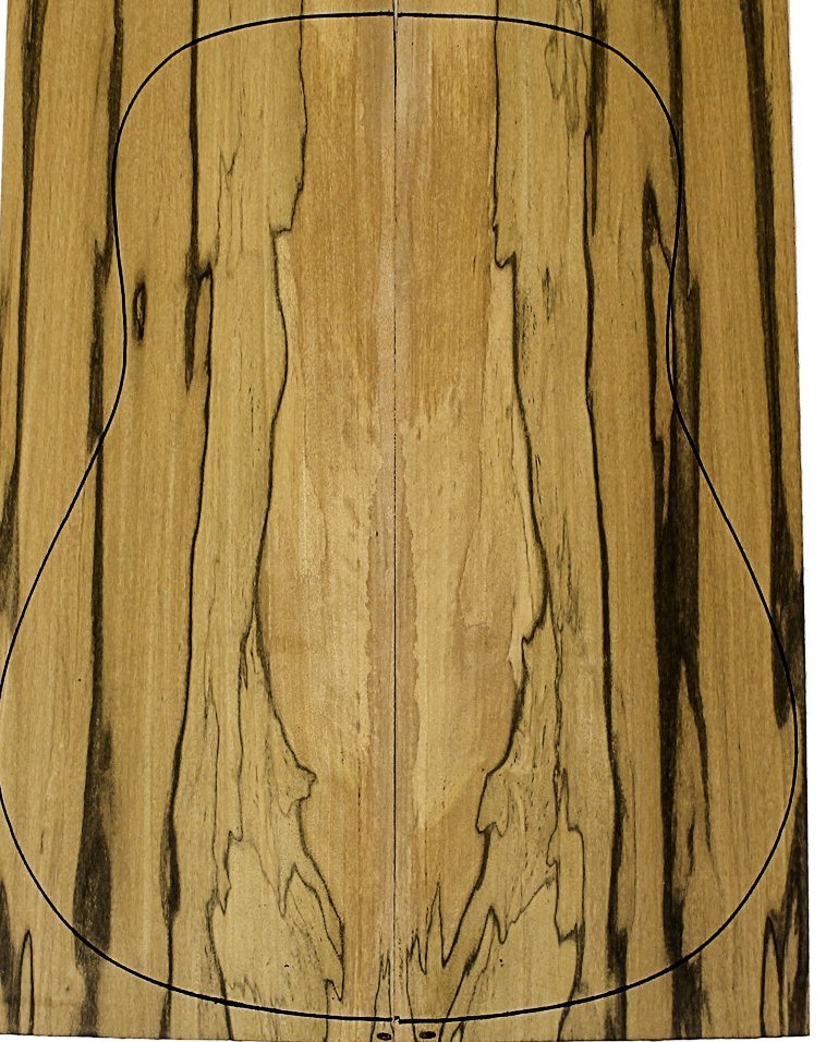 brown ebony acoustic guitar backs