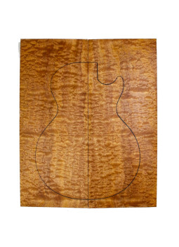 Body Top Sapelli Pommelé spécial Guitare/Basse Électrique