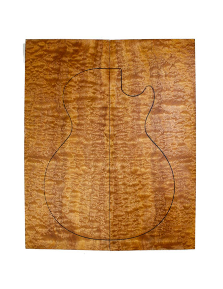 Decken Cuerpo Sapelli Quilted AAA Gitarre / E-Bass | Maderas Barber