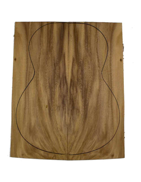 Fondi Monkey pod chitarra classica | Maderas Barber