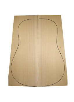 acoustic guitar top
