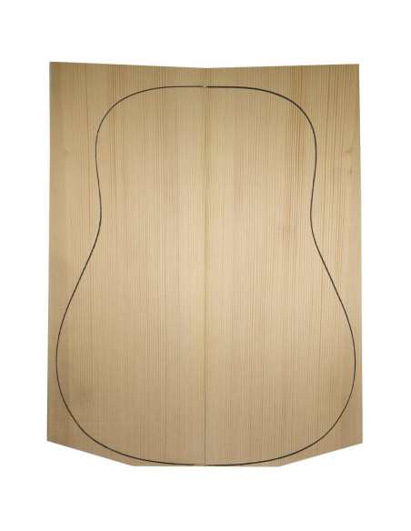 picea rubens guitarra