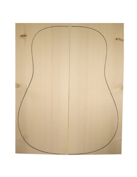 Buy Master Adirondack Tops Acoustic Guitar