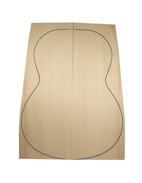 picea rubens guitarra