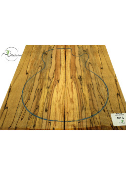 Body Top Spalted Beech Nº1