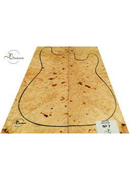MB Exclusive Big Leaf Maple Burl Drop Nº 7
