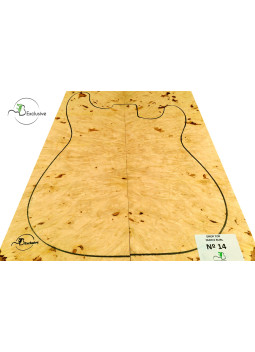MB Exclusive Big Leaf Maple Burl Drop Nº 14