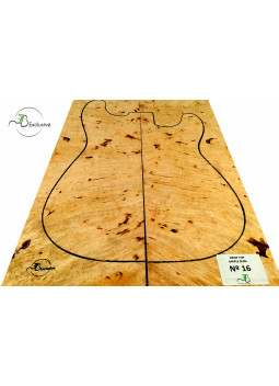MB Exclusive Big Leaf Maple Burl Drop Nº 16