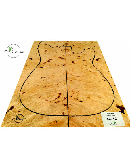 MB Exclusive Big Leaf Maple Burl Drop Nº 16