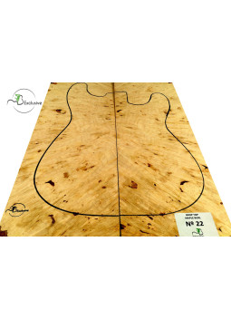 MB Exclusive Big Leaf Maple Burl Drop Nº 22