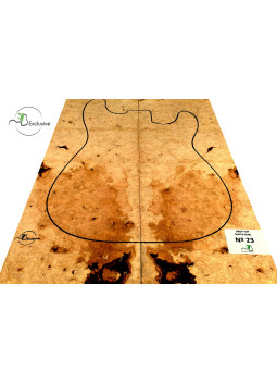 MB Exclusive Big Leaf Maple Burl Drop Nº 23