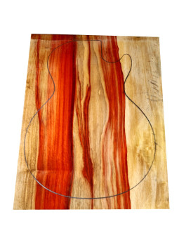1 Piece Padauk Bariolé Body Bass / Electric Guitar | Buy