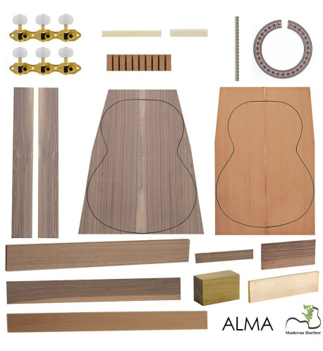 classic guitar kit model alma