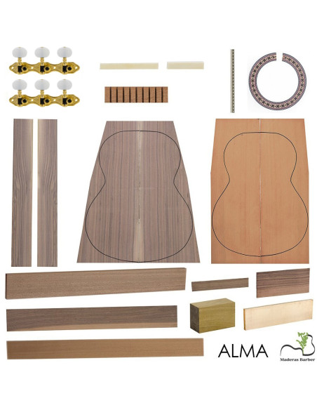 classic guitar kit model alma