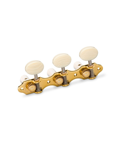 Clavijero Schaller Hauser