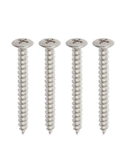 guitar neck screws