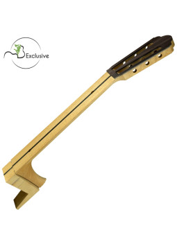 guitarra Antonio de Torres
