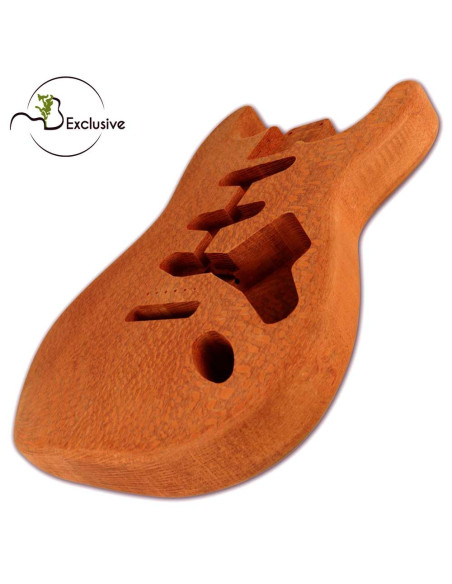 Buy Brazilian Lacewood Finished Electric Guitar Body Stratocaster