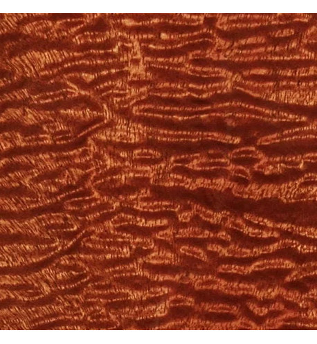 quilted sapele guitar