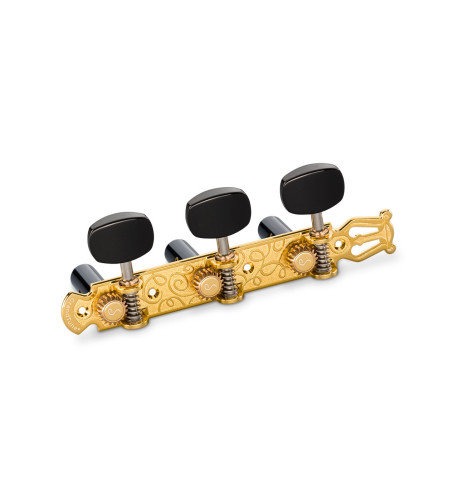 clavijeros schaller