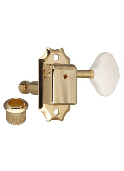 gotoh clavijeros