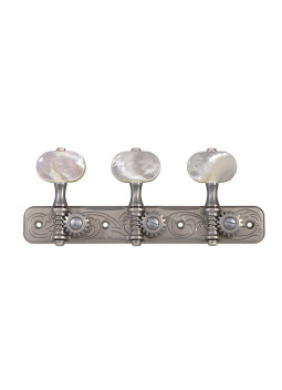 clavijeros Gotoh