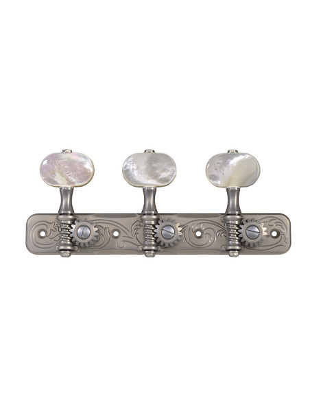 clavijeros Gotoh