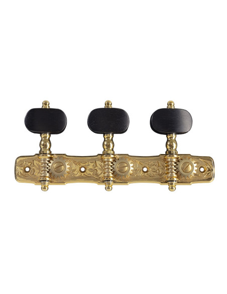 clavijeros Gotoh