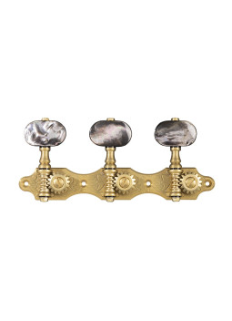 clavijeros Gotoh