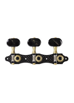 clavijeros Gotoh