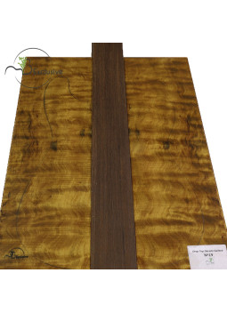 Comprar Drop Top Dorado MB Exclusive n. 19
