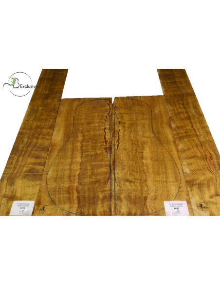 Set Dorado Quilted chitarra acustica MB Exclusive n.29 Comprar