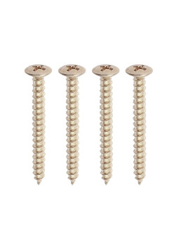 Neckplate Screws Nickel