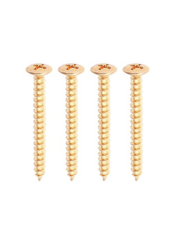 Neckplate Screws Gold Allparts® | Maderas Barber
