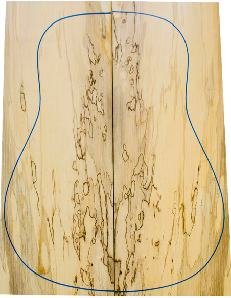 Fonds Erable Spalted Guitare Acoustique