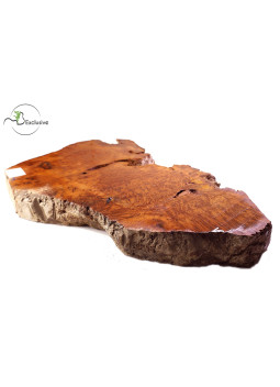 Thuya Burl MB Exclusive Nº2