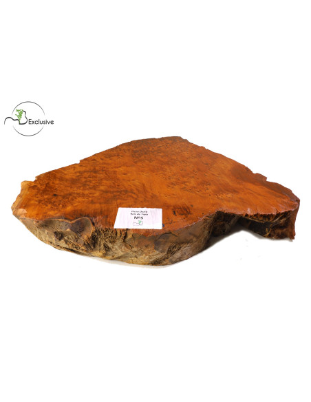 Thuya Burl Nº 5 | Maderas Barber