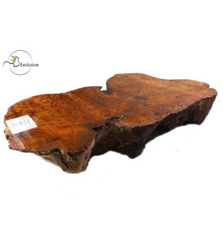 Thuya Burl MB Exclusive Nº9