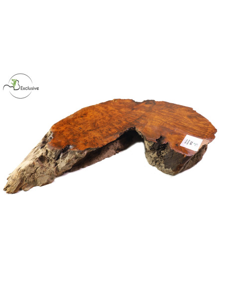 Thuya Burl MB Exclusive Nº12