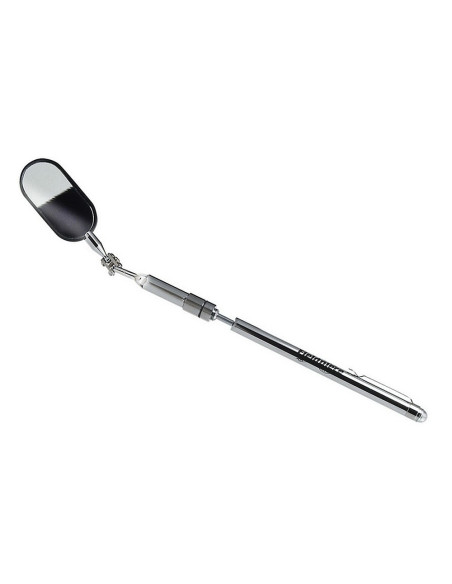 Luz LED telescopica con espejo