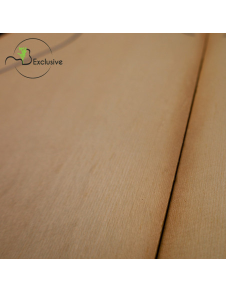 MB Exclusive Bearclaw Engelmann Spruce Classical Guitar Tops Nº 1