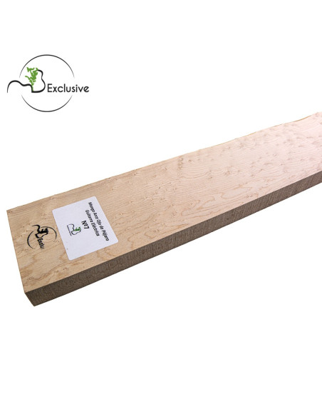 Birdseye Maple Neck 700x100x25 mm MB Exclusive Nº7